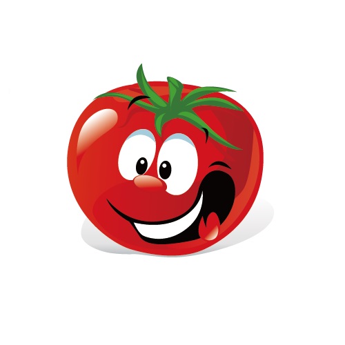 tomato